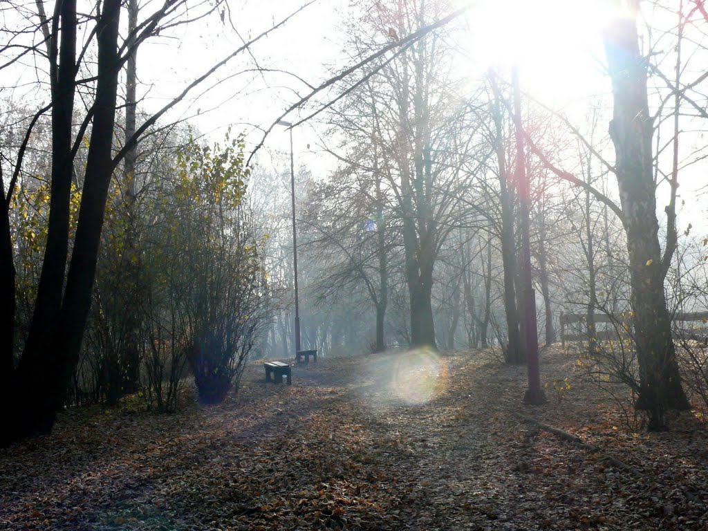 Czeladź, Park Grabek by Osaaco