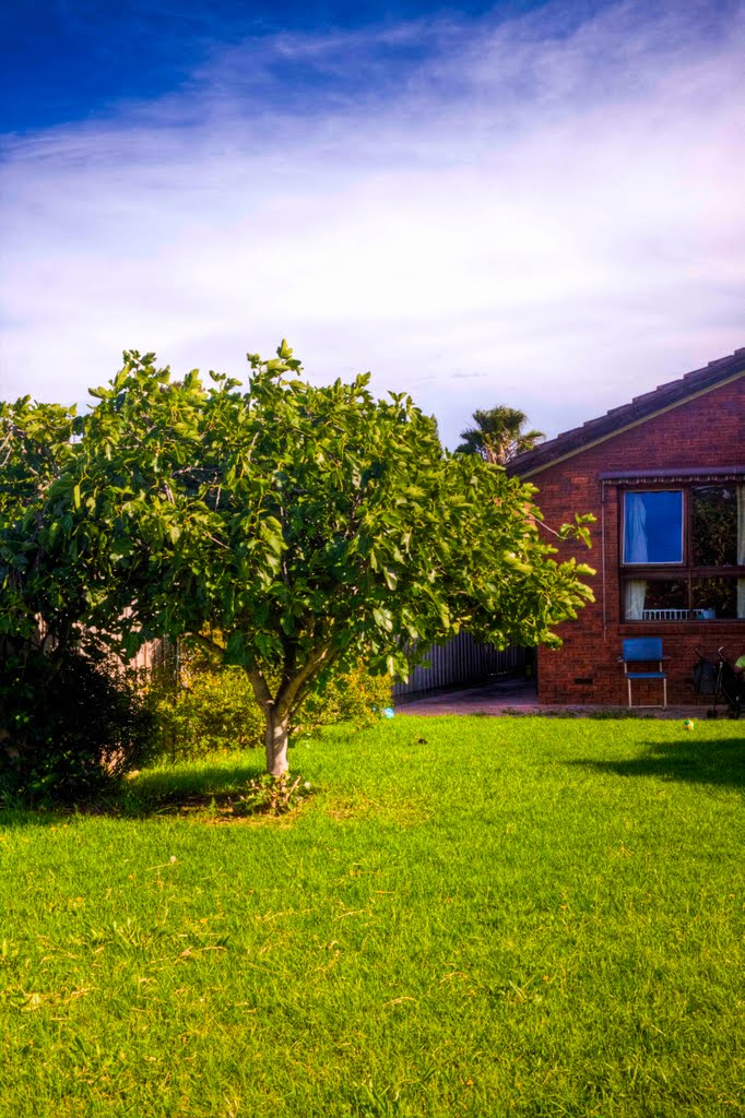 718 Barkly Street, West Footscray by Salahuddin Ahmad Photography