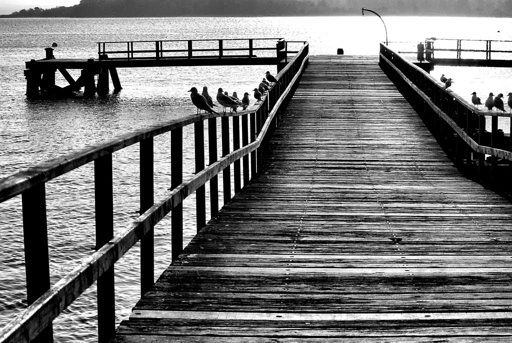 Lake Pier mono by Graham Hobbs