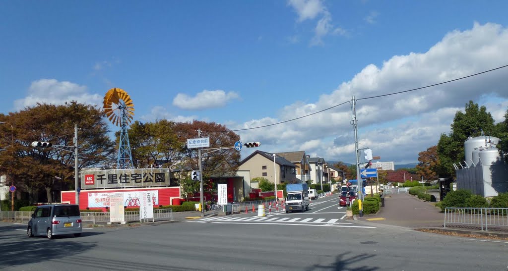 2011.11.15 千里住宅公園(万博記念協会前交差点) by H.Katayama