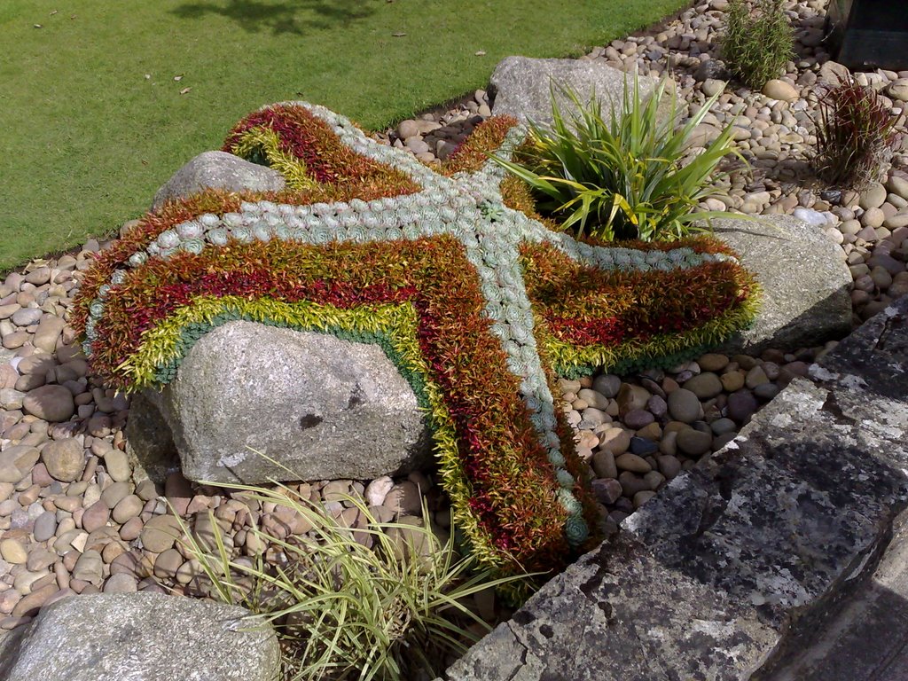 The triangle garden starfish by Graham Till