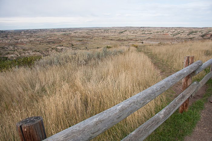 Theodore Roosevelt NP 1 by Pictographer