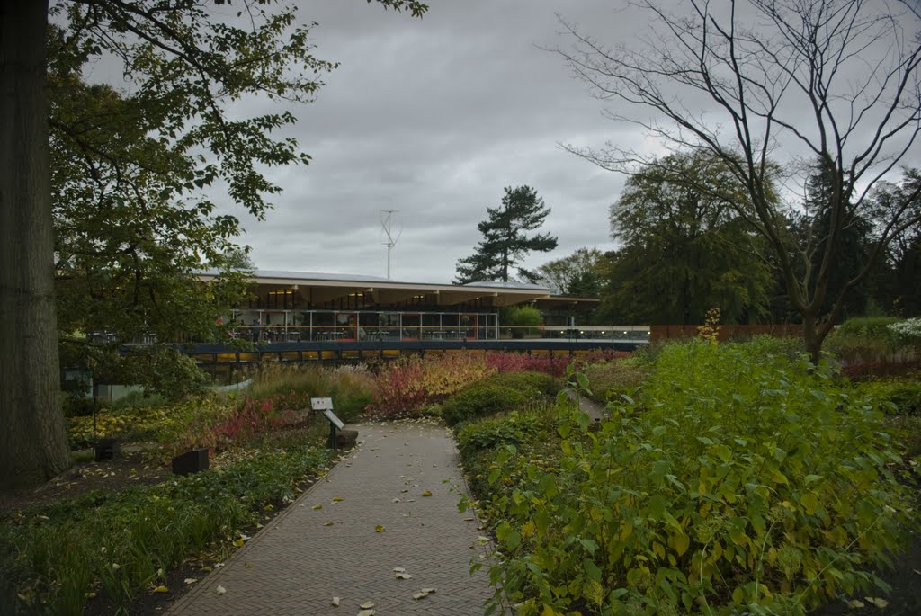 Edinburgh, the Royal Botanic Garden by Maciej Szester