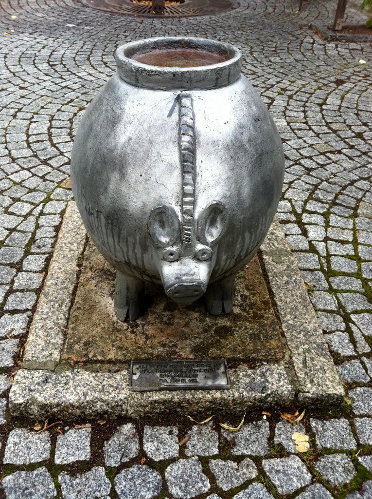 Prähistorisches Schwein in Greußen by 1of2same