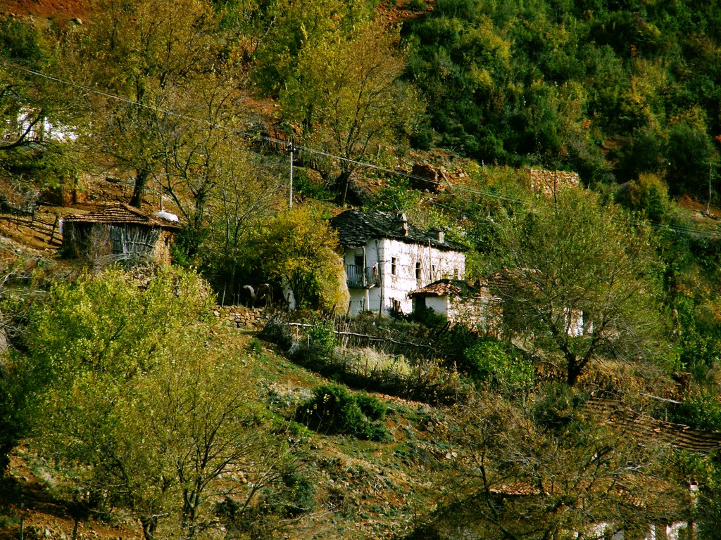 Albania - Gramsh: Bratild... by Giorgos Rodinos