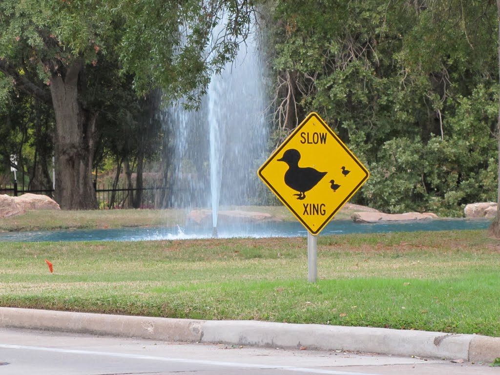 Duck Crossing Warning Sign at the Lake on Enclave Pkwy by WOLFGANG HOUSTON WEST