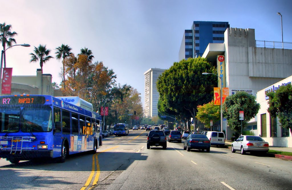 The Roads...in Beverlywood, Los Angeles, CA by aleksolo