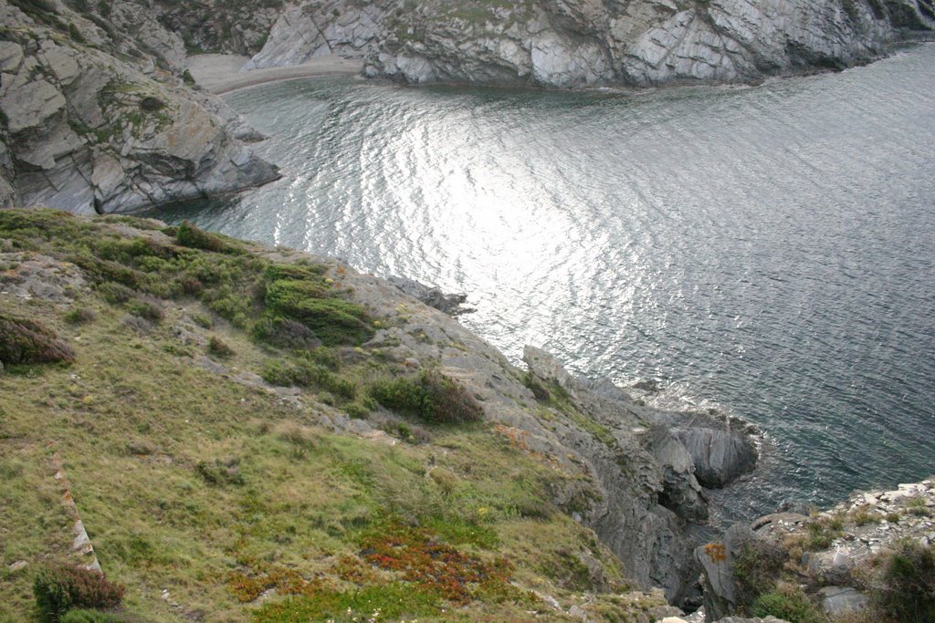 Cala de sa Cebolla by pere millan