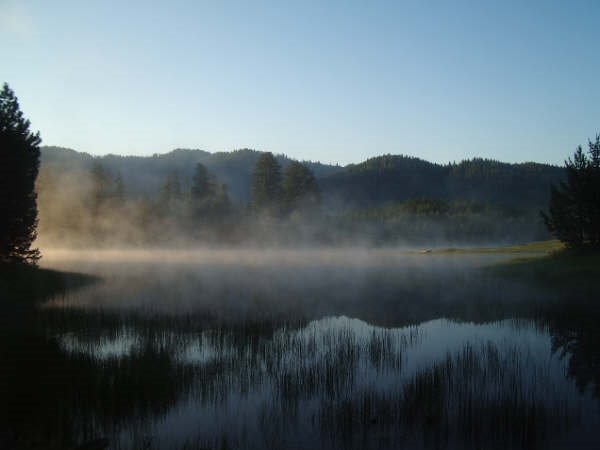 Morning Mist by raymelong