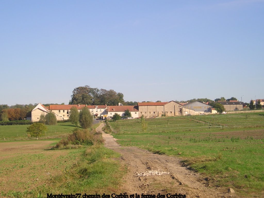 Montévrain-77-chemin des Corbins by psb77