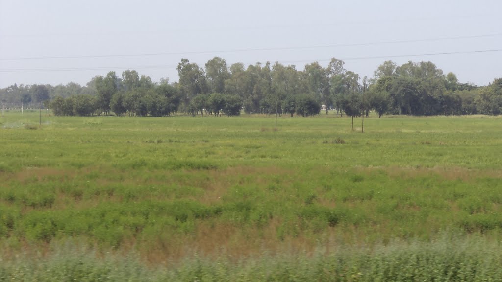 Approaching Jabalpur, View from Moving Train by sban1998