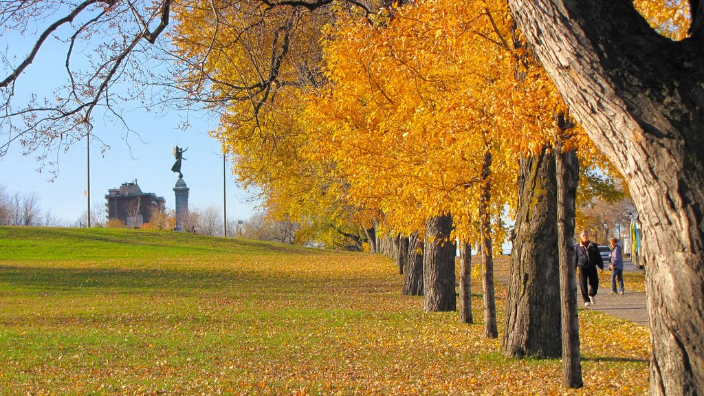 Parc du Mont-Royal. (Montréal, Québec, CANADA) by phamhoanghai