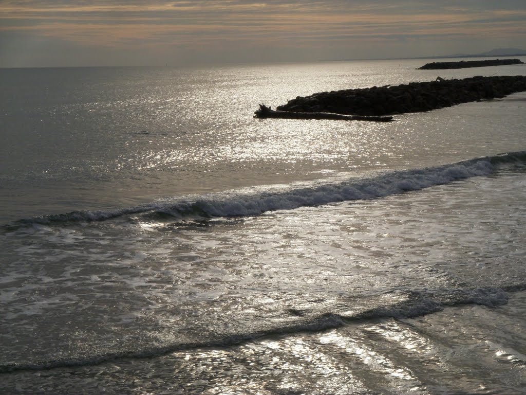 Sète - Bois flottant sur la digue-. by toledo49