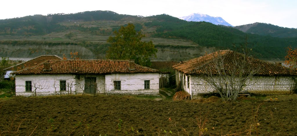 Albania - Gramsh: Kodovjat... by Giorgos Rodinos