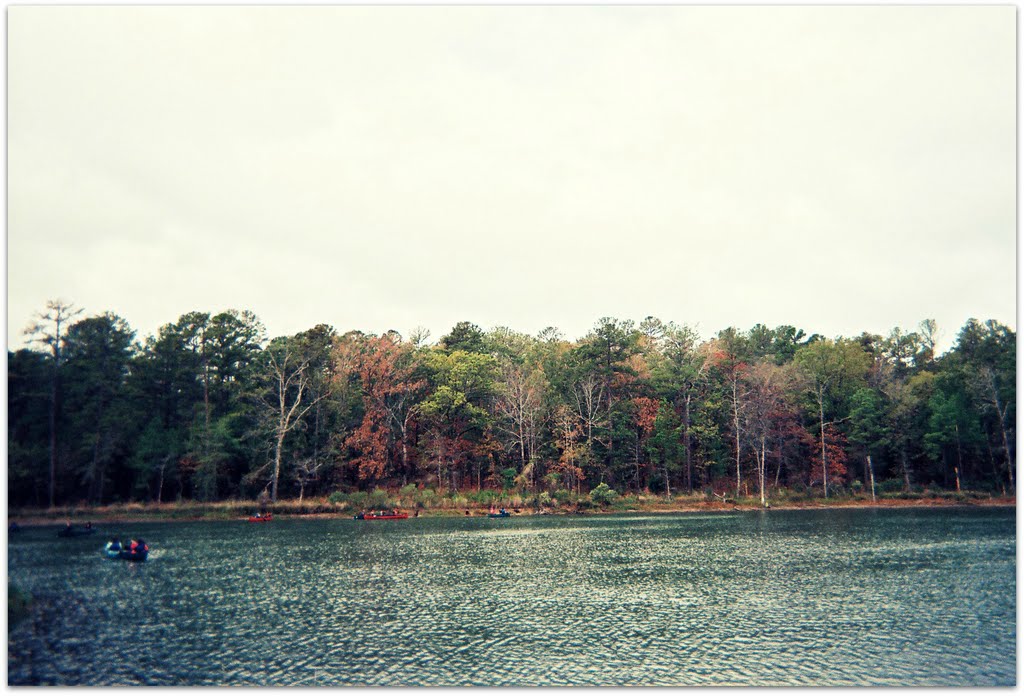 Pine Cove Camp by Interfaith Wedding Rabbi