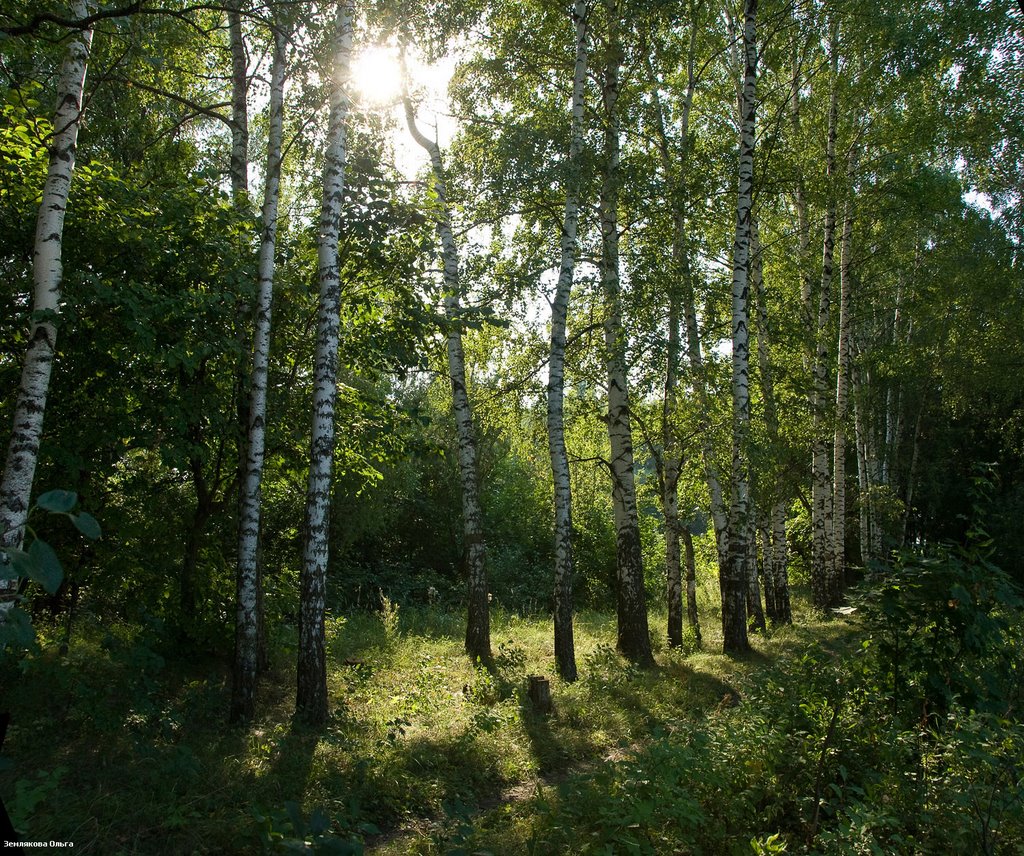 Зайцево by oland