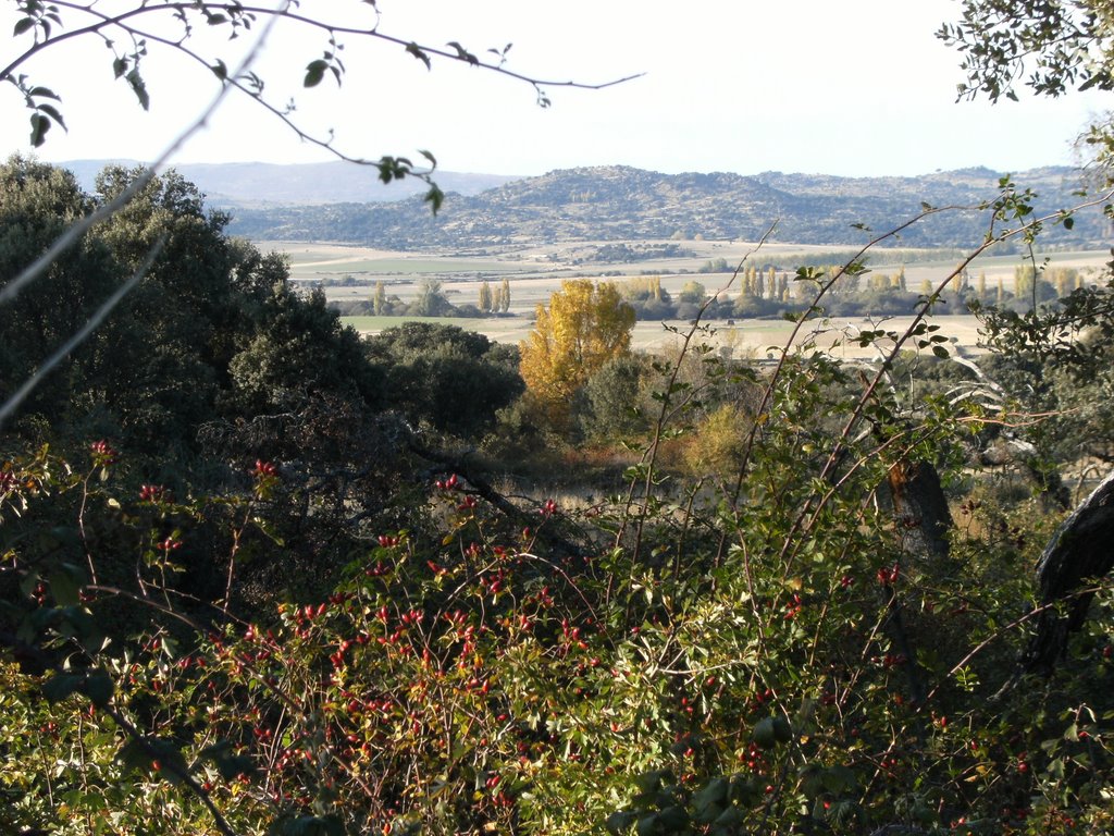 Valle del Corneja by NoeDíaz