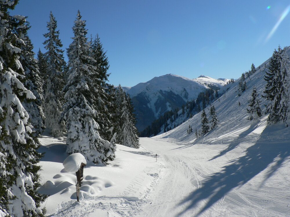 Saalbach (Auffahrt zur Reiterkogel) by Peter und Ute