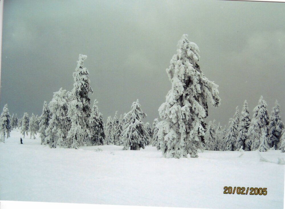 auf dem Fichtelberg by upelepi