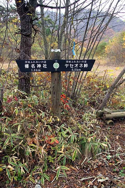 Signpost near Tenjin Pass by nutakku