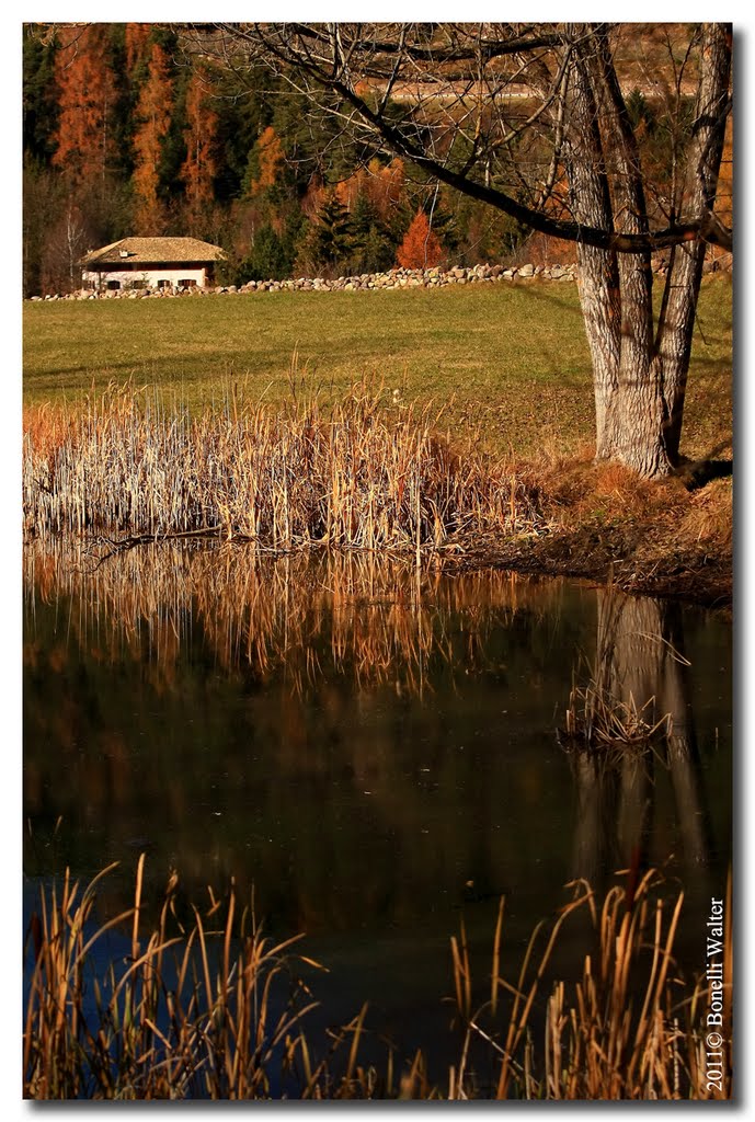 Riflessi d'autunno by ♣ Walter Bonelli ♣