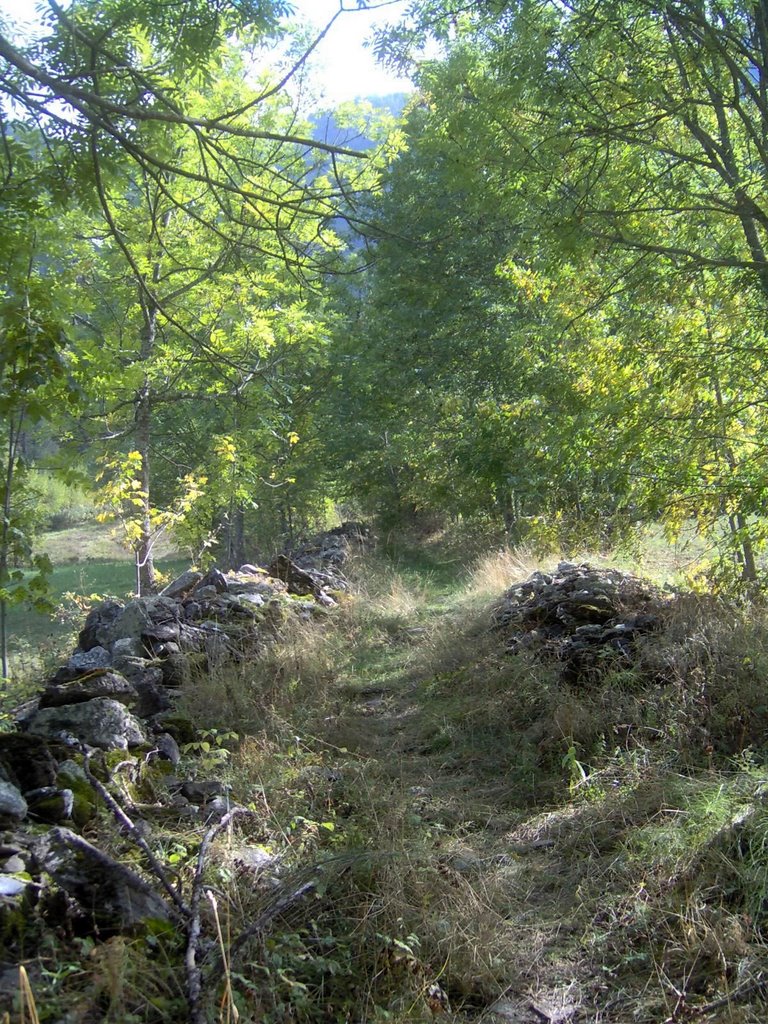 Mulattiera che scende a Canosio by gyper