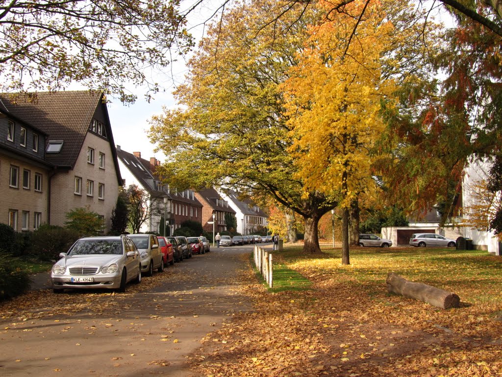 Maurenbrecherstr. -Krefeld by kieu-thanh