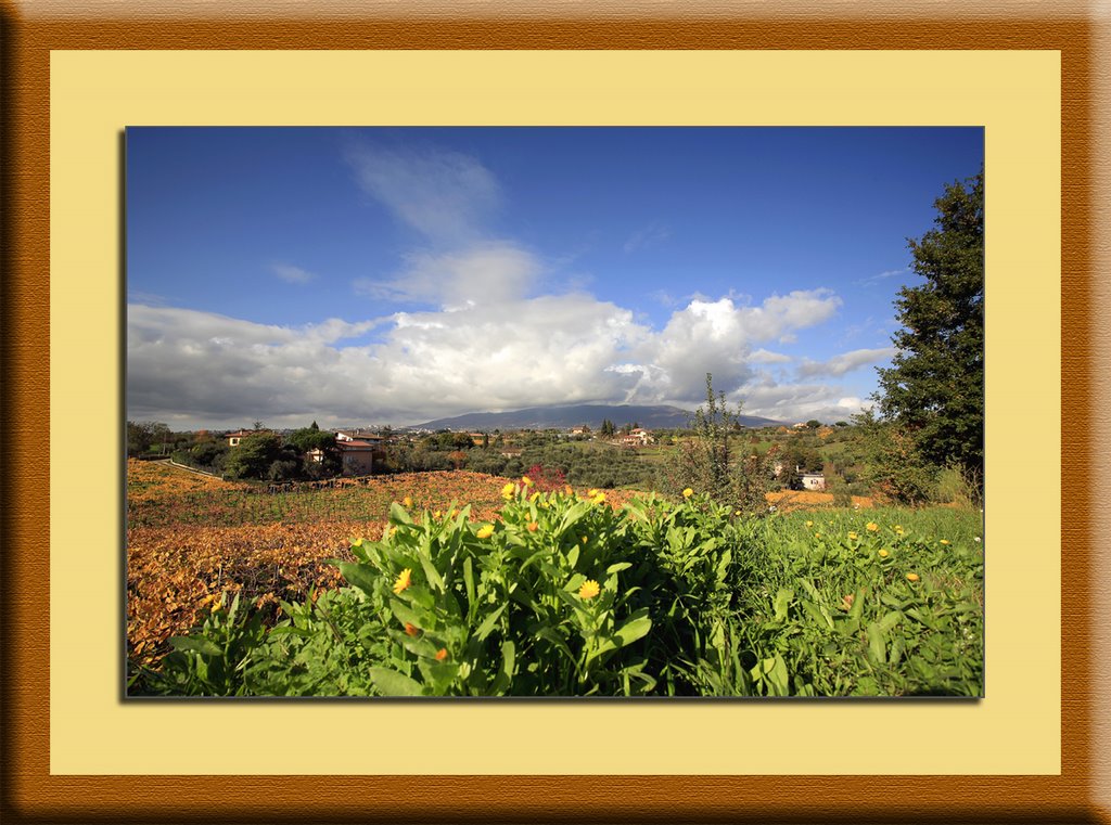 Velletri Contrada Malatesta in autunno by Fabio Rosati