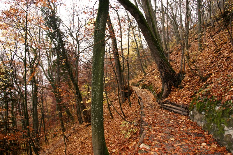 Schloss Neu Bechburg - Oensingen Schweiz by Golinski Janusch