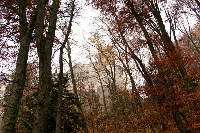 Schloss Neu Bechburg - Oensingen Schweiz by Golinski Janusch