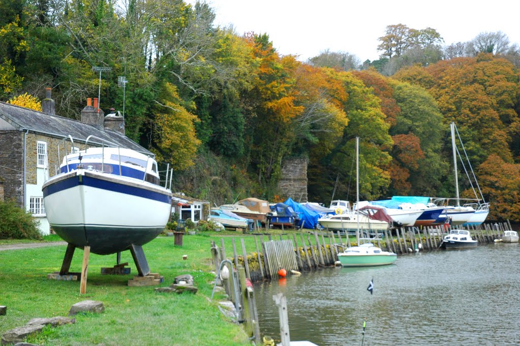 On the River Tiddy below St Germans, Cornwall by Bressons_Puddle