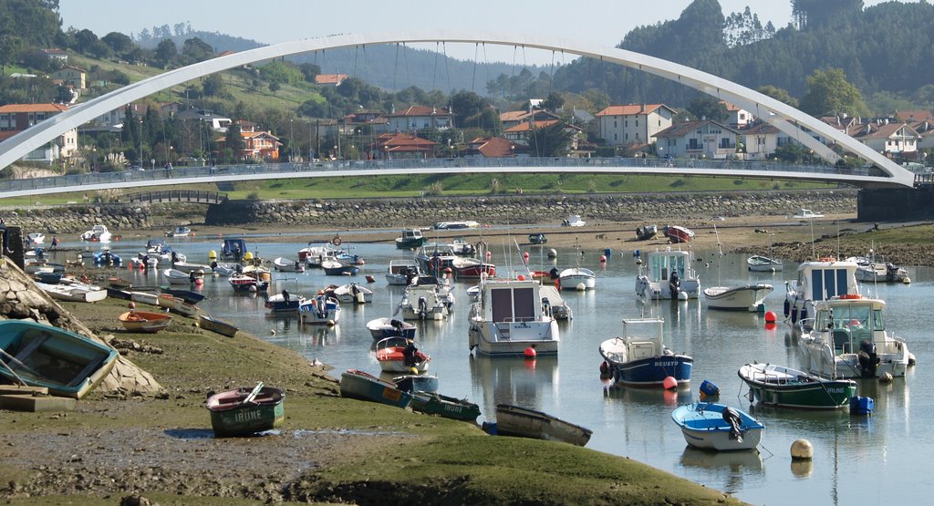 Puente de Calatrava en Plencia by aherrero