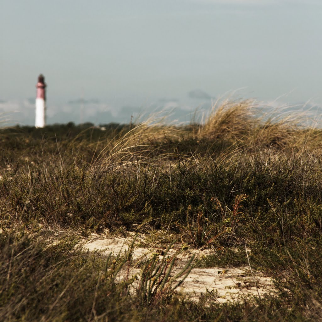 Cap Ferret - phare by Chiara Paolucci