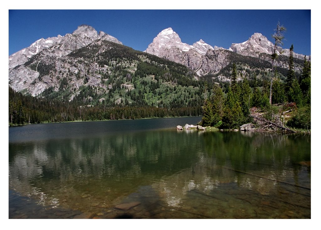 Reflection on Taggart Lake by Chris Morrissey