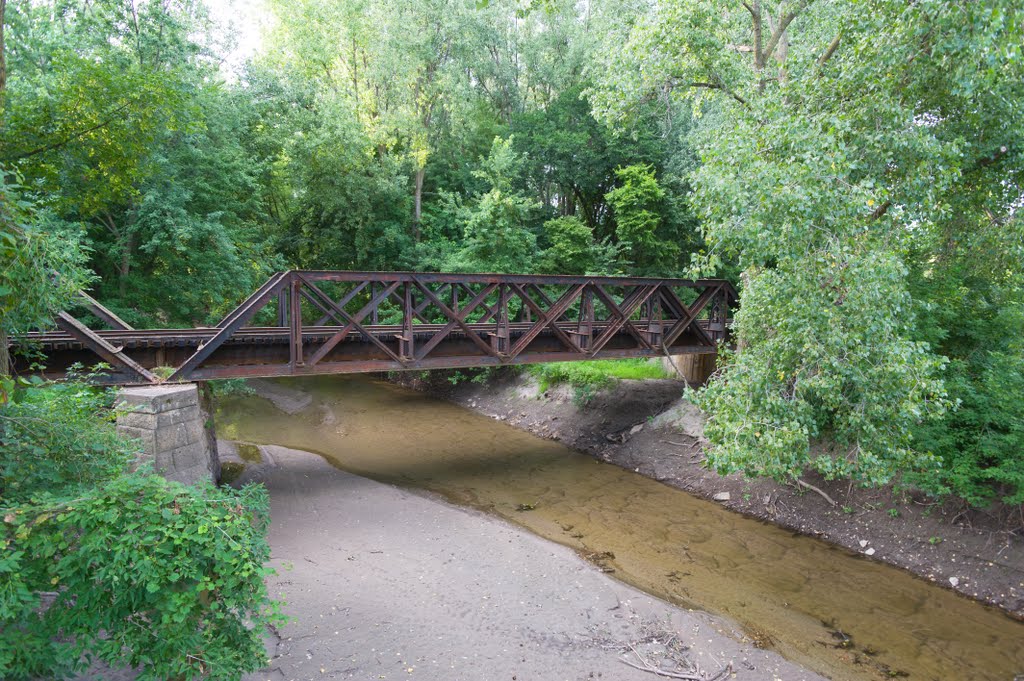 Railroad Steel Pony Truss Bridge - Le Sueur, MN - August 19, 2011 by mnragnar