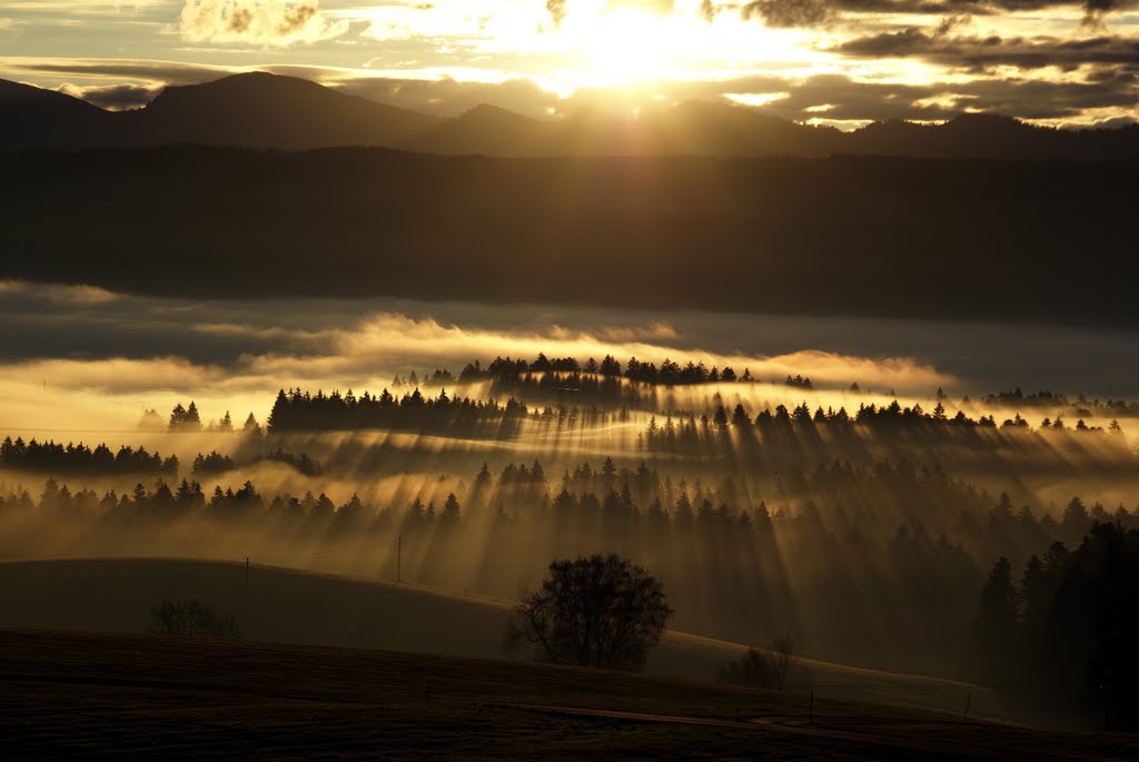 November sunrise- November Sonnenaufgang by Fred Bassett