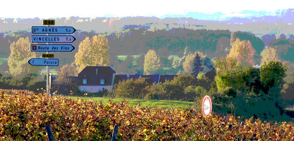 Route des vins à Vercia (Jura) by Alain TREBOZ