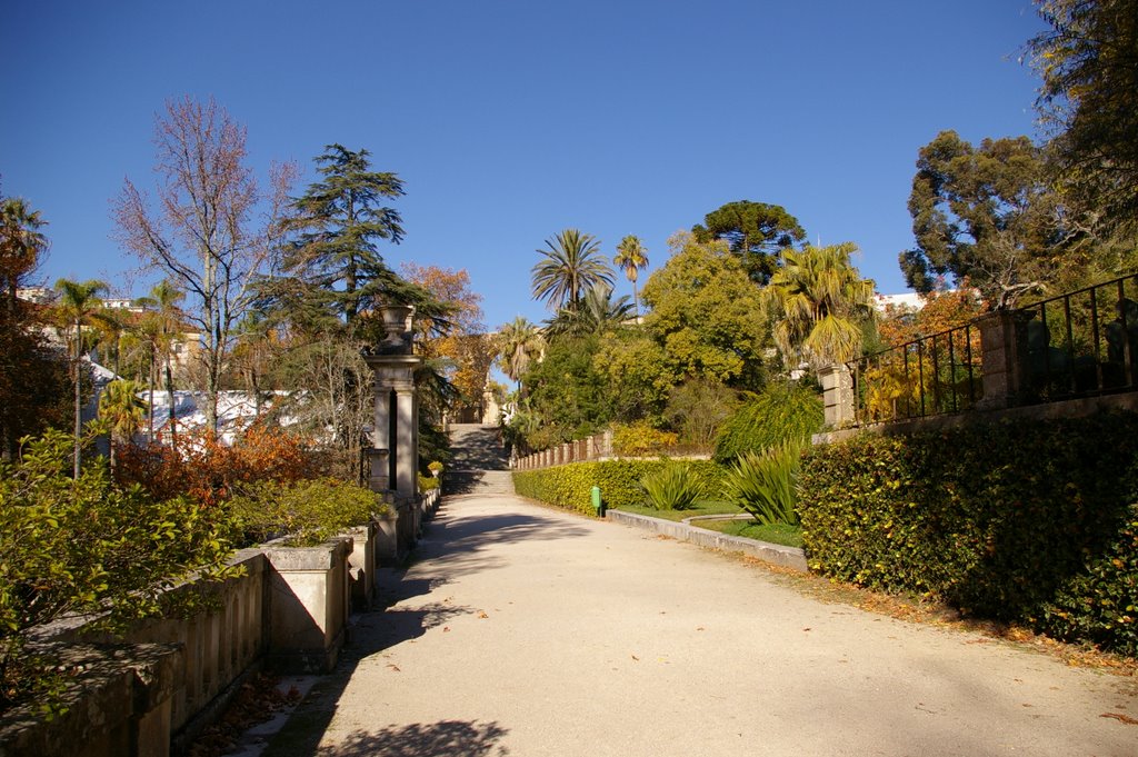 Jardim Botânico by Carlos Berardo