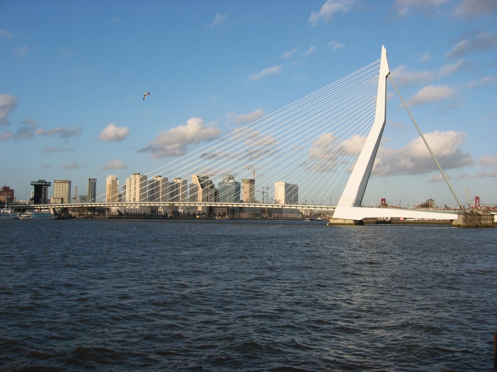 Erasmusbrug vanaf Holland Amerikakade by Lennard Peters