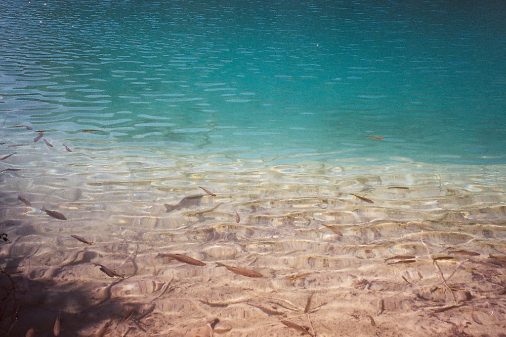 The Plitvice Lakes by Rarita