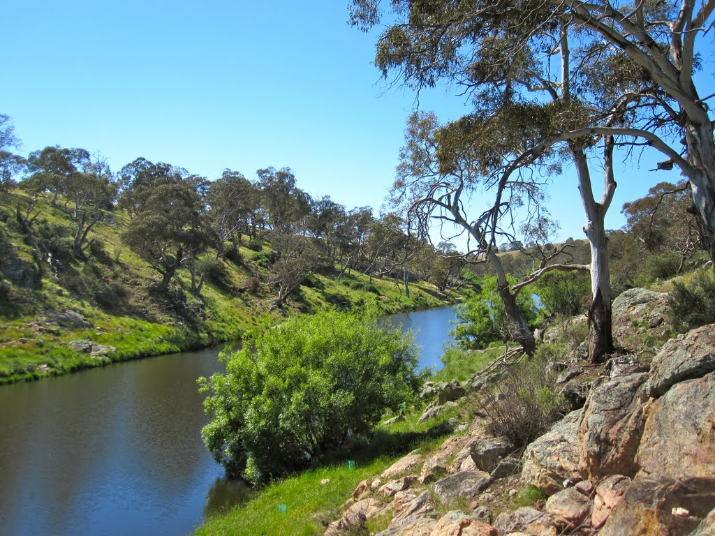 Bombala Platypus Reserve by JimBuzbee