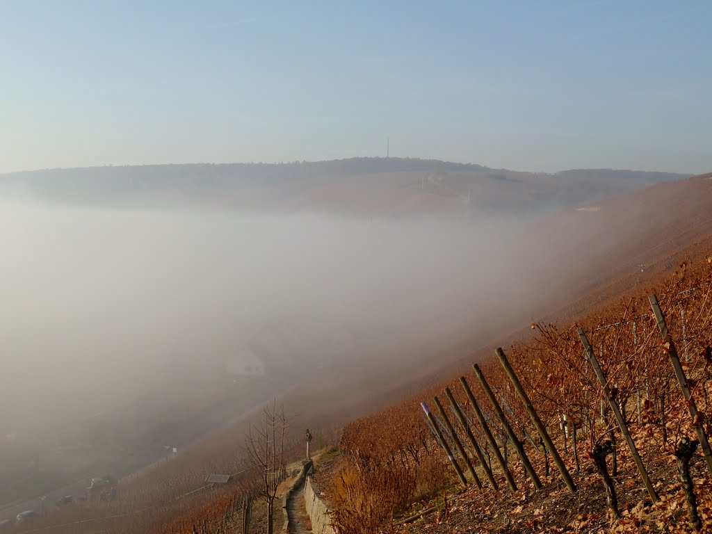 Escherndorf liegt noch im Nebel by cammino - VIEWS? No, thanks