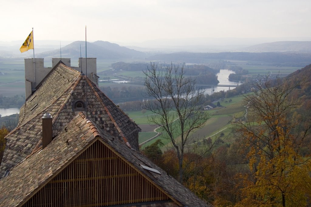 Rheinabwärts von Hohenklingen by SutterE