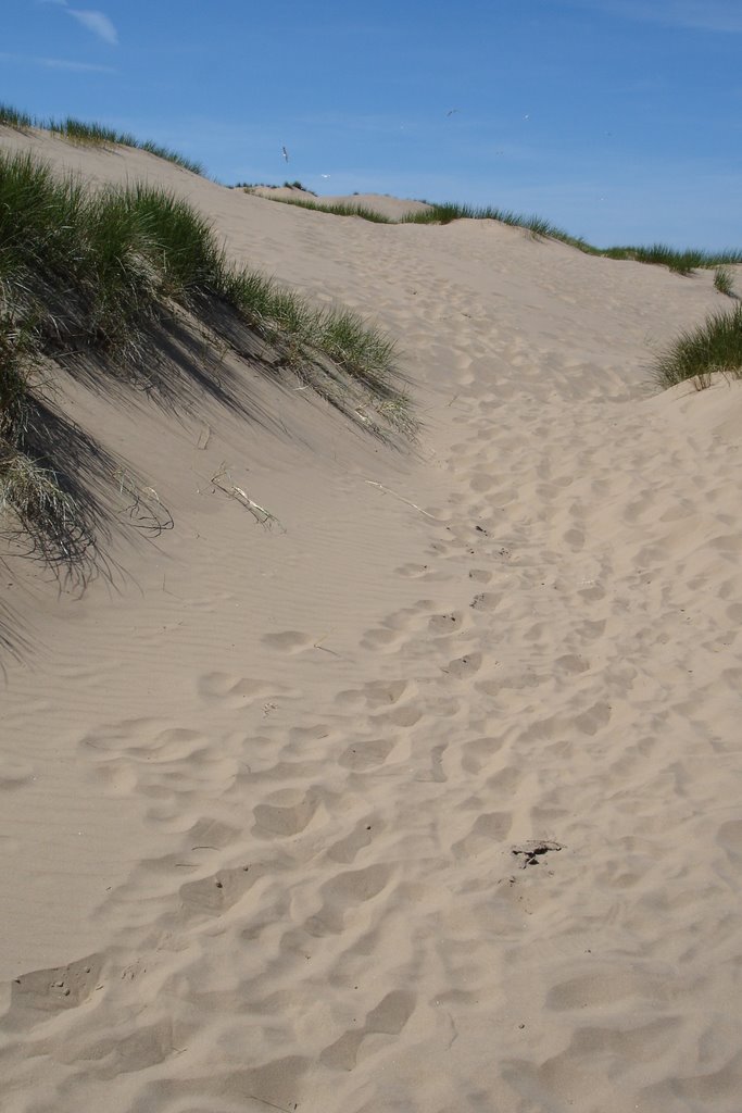 Sand dunes by citizenandrew