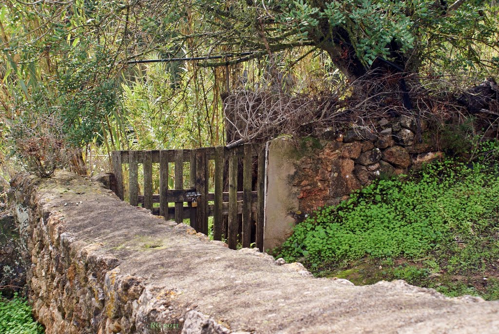 Puertas al campo by RafaGG