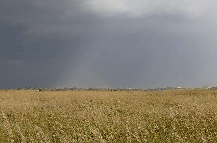 Roosevelt NP Storm (2007) by Scott Plencner