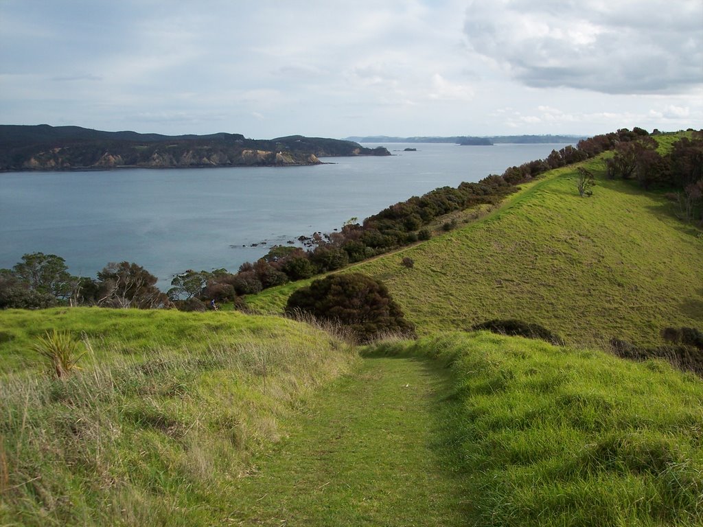 Tawharanui Regional Park by White Horn