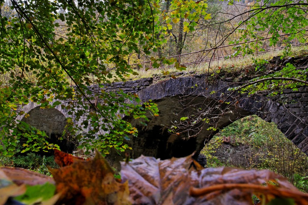 Bei Rübeland (Harz) by n.i.c.o.