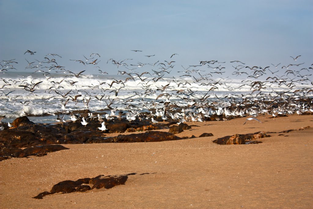 TEMPESTADE NO MAR,UM GRANDE BANQUETE PARA PARTILHAR. by Guizel