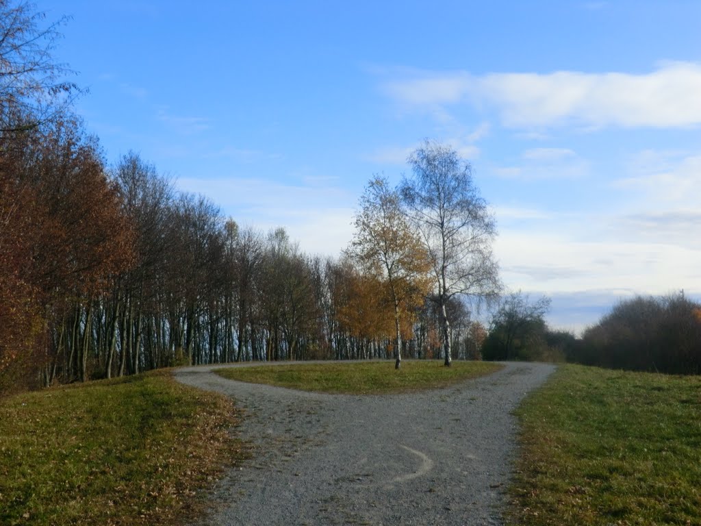 Stuttgart-Vaihingen, Bernhardshöhe, 20.11.2011 by Kristallkönig der Trübselige